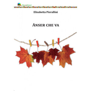 ANSER CHE VA